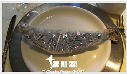 no pollution - save our seas by Claudia Weber-Gebert 